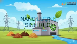 năng lượng sinh khối là gì