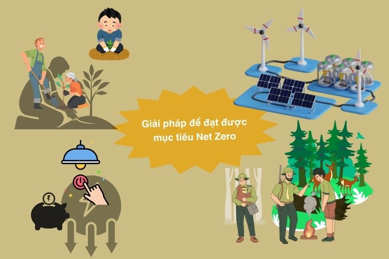 Net Zero Là Gì – Kiến Tạo Tương Lai Bền Vững Cho Hành Tinh Xanh
