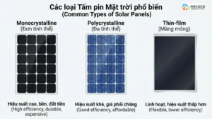 các loại tấm pin mặt trời phổ biến